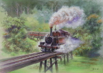 a steam train whistle in a rainforest